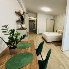 Lazar Studio Apartment - Palas Center