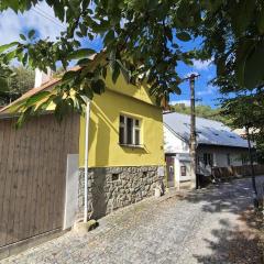 Romantic House in Botanic Garden
