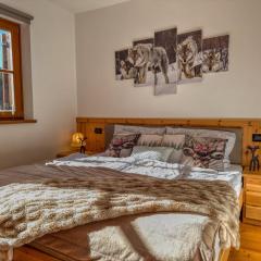 Maibrunn apartment Dali, ski-in&out