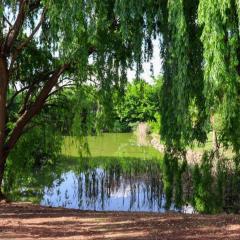 The Nugget Guest Lodge