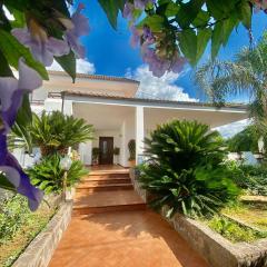 The Rosa's Luxury House