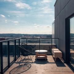 Terrace Apartment near Ozas