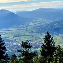 Apartma Castrum Vini