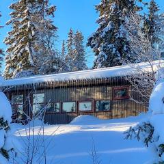 Trysilfjellet Sør 17