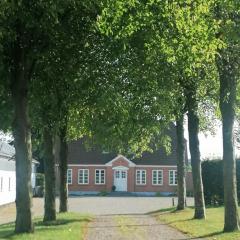 Nature Gem Near Haderslev With 160-Year-Old Beech