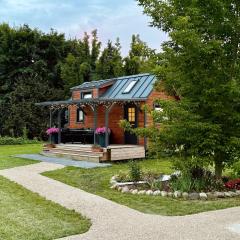 Tiny house & Sauna - Alejas