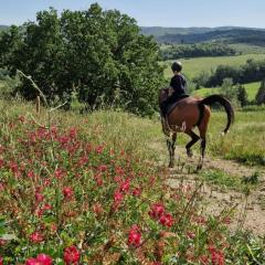 Agriturismo La Rugiada di Pociano