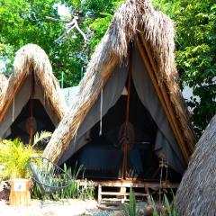 Tribu Tipis & Surf