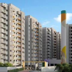 Porto maravilha vibe RIO