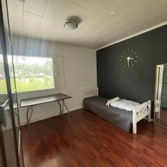 Gozy apartment -kodikas majoitus