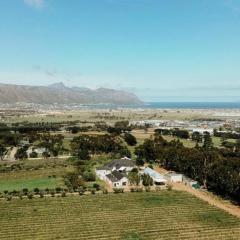 13 Olives, Entire Grape & Olive Estate, Somerset West by Euphoric Leisure