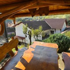 Pensiunea Hanzu Darius