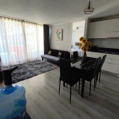 Vive Santiago con Estilo y Espacio