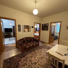 Retro apartment with three rooms