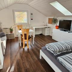 Ferienwohnung Haldenblick