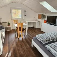 Ferienwohnung Haldenblick