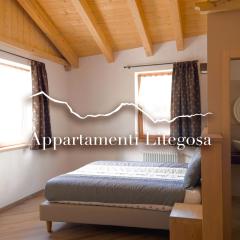 Appartamenti LITEGOSA casa vacanza 3