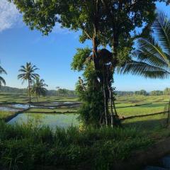 Ritigala Wedda Ancient Path