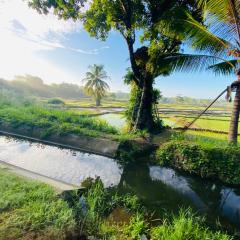 Ritigala Wedda Ancient Path