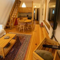 SkiLift Tarvisio Apartment Free Parking