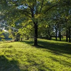 Domaine De La Sablière