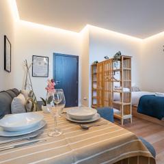 Castelões Tiles Studio With Terrace