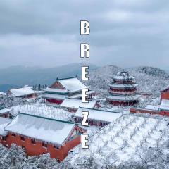 Breeze Alley Inn--English reception-Tourism planing-Ticket reservation