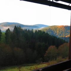 Ferienwohnung am Glockenberg Sankt Andreasberg Harz