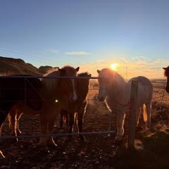 Arngrimslundur Cottages