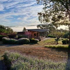 Rosie's Cottage Bindoon