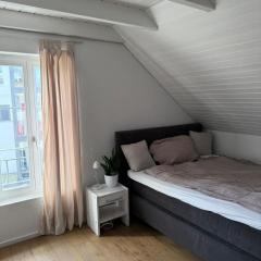 Apartment in Düdingen