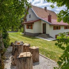 Gorgeous Home In Ravna Gora With Wifi