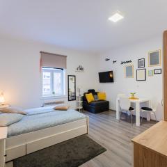Flex SelfCheckIns 132 - Zagreb - Studio Apartman - Centar