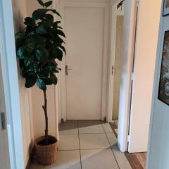 Le repos du voyageur