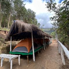 Mystic Valley Vattavada