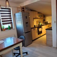 Apartament Parc Romanescu 4 locuri-2 familii