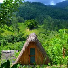 Tuqtuquilal - Cacao & Regenerative Center