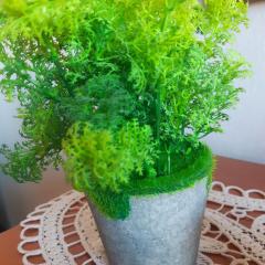 Cozy Studio East-Side