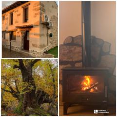 CASA RURAL PUERTO-Otoño Mágico Valle del Ambroz