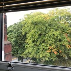 Fairways guest house