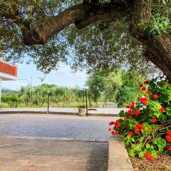 2 Bedroom Amazing Apartment In Casal Velino