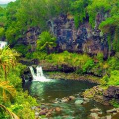 Napili Gardens #12 - Winter on Maui!