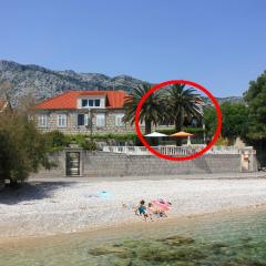 Apartments by the sea Orebic, Peljesac - 271