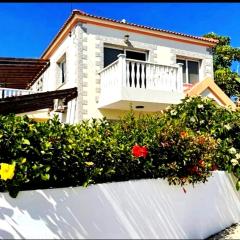 Villa Flamingo close Nissi beach