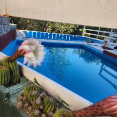 Altos de Grecia Cabaña 3