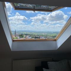 Ruhige Wohnung Saarbrücken Waldrand