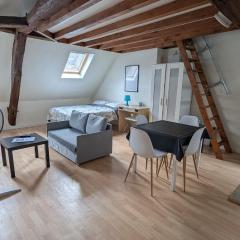 L'autunette au quartier historique d'Autun