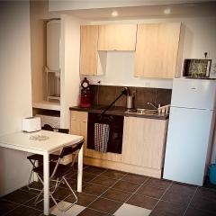 32EG faculté médecine, hôpitaux, vinatier