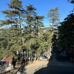 Hotel Super V mountain homestay