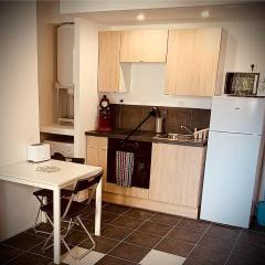 32E2 faculté médecine , Vinatier , hôpitaux